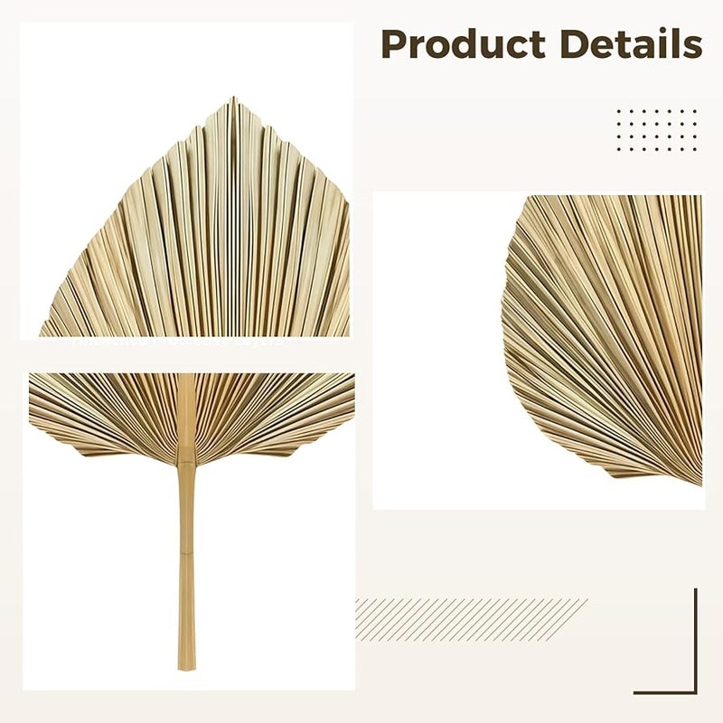 مجموعة مروحة أوراق النخيل المجففة الطبيعية من 5 قطع، ديكور منزلي على الطراز البوهيمي - Image 5